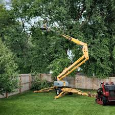 Best Tree Mulching  in Inkerman, PA