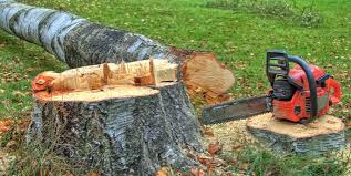 Best Tree Preservation Services  in Inkerman, PA