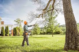 Best Lawn Pest Prevention  in Inkerman, PA